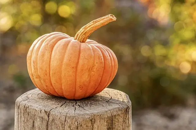 Les Déguisements Frayeurs les Plus Effrayants pour Halloween