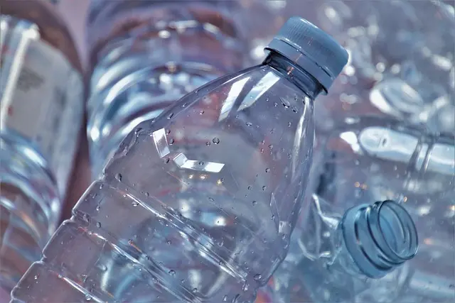 Les Déguisements Frayeurs Écologiques à Réaliser Soi-Même