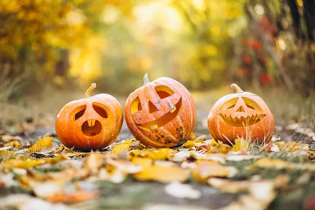 Les Déguisements Frayeurs les Plus Étonnants pour Halloween
