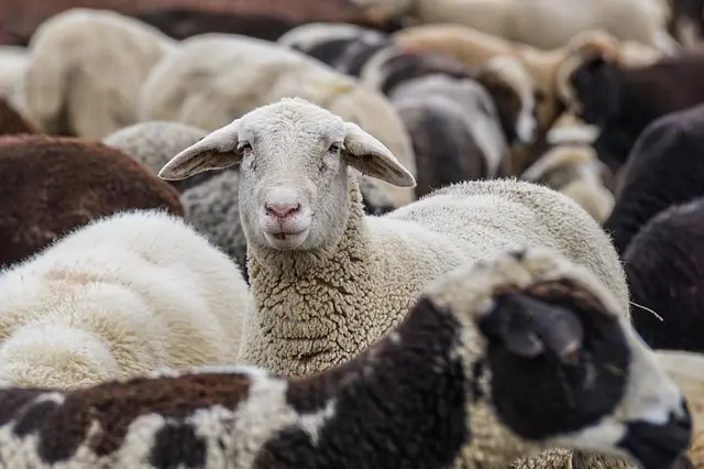 Les Accessoires Écologiques pour un Déguisement Frayeur Impactant