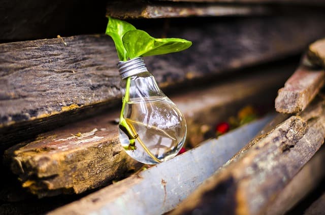 Les Déguisements Frayeurs Écologiques à Essayer Absolument