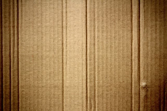 Les Meilleurs Déguisements Frayeurs Écologiques à Réaliser