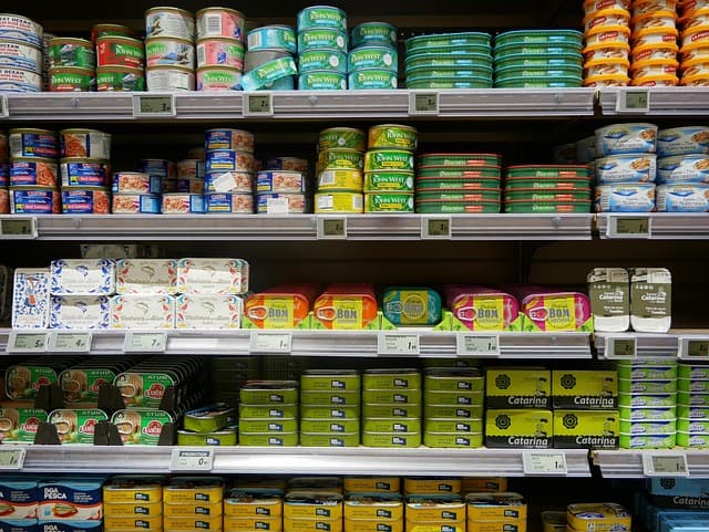 Comment Créer un Déguisement Frayeur Époustouflant en Moins d'Une Heure